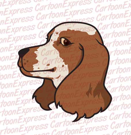 spaniel head